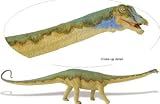 Safari 405401 Diplodocus Dinosaur Miniature- Pack of 2