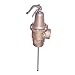 Watts 0343876 340-075/210 1 1/2 1 1/2 Inch Bronze Automatic ReSeating Temperature And Pressure Relief Valve, 75 psi, 210 degree F, Ss Thermostat