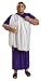 Julius Caesar Costume, Purple And White, Adult Full Figure