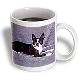 Dogs Boston Terrier - Boston Terrier - Mugs