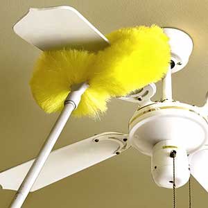 Kitchen: CEILING FAN DUSTER