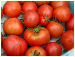 产とまと100% 成熟的西红柿500G粉葡萄牙番