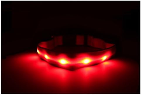 Petabunga® LED Dog Collar - USB Rechargeable - Multiple Sizes & Colors - Improve Dog Visibility and Safety - Charges Via USB - Metal Loop for Leash - Multiple Settings - [Red / Large]