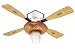 Tools & Hardware : Hunter Fan Ceiling Fan - Baseball (44")