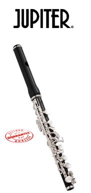 Jupiter DiMedici Piccolo 905ES