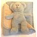 Sky Blue & Sap Green - Ultra Soft Reversible Blanket/Teddy Bear Set