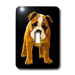 Dogs Bulldog - Bulldog Puppy - Light Switch Covers - single toggle switch
