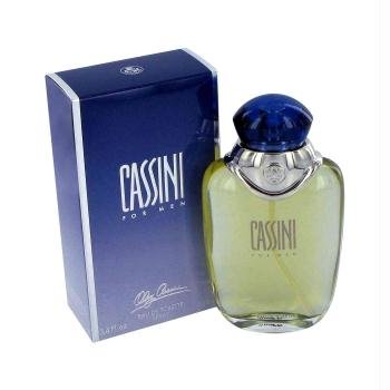 CASSINI by Oleg Cassini Eau De Toilette Spray 100 ml Preisvergleich