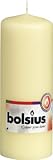 from Ivyline Bolsius Outdoor/Indoor Pillar Candle 200x70mm - Ivory Model 103615570105