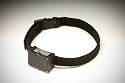 RoamEO GPS Collar, Small