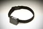 RoamEO GPS Collar, Small