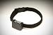RoamEO GPS Collar, Small