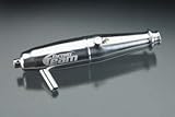 89177 Polished Muffler