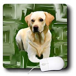 image link -  - B002I8DCOS