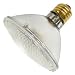GE 14802 75-Watt PAR30 Edison Halogen Spotlight