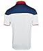 adidas Golf Mens Climacool USA Sport Block Polo