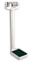 Detecto Eye Level Physician Scale 400 LB X 4 Oz Without Height Rod 10 1/2 X 14 1/2 Platform - Detecto 437