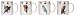 Artistically designed dinnerware parrots motif mugs 12 oz. Set/4