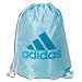 adidas Santiago IV Reversible Sackpack (Sky)
