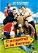 DVD : Camping à la ferme