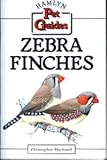 Zebra finches