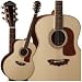 J56WK Jumbo Acoustic Guitar