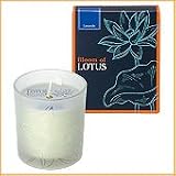 Bloom of LOTUS �t���O�����X�L�����h���@�����@���h 150g