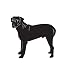 Working Dog Pet Bullmastiff Car Truck Vehicle Bumper Helmet Decal Sticker Wall Art Laptop Design Skin Stickers