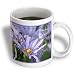 Purple English Aster Flowers Thinking of You - 15oz Mug