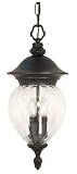 Nuvo 60/788 Hanging Lantern with Clear Melon Seed Glass, Chestnut Bronze