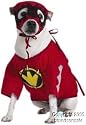 Pet Power Ranger Dog Costume For Small Dogs