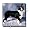 Border Collie - 6 Inch Ceramic Tile