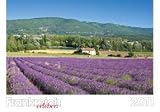 Frankreich-Kalender 2011: Frankreich erleben - Jahreskalender - 