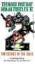 Teenage Mutant Ninja Turtles II - The Secret of the Ooze [VHS]