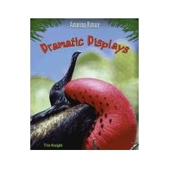 Dramatic Displays
