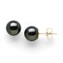 Tahitian Black Pearl Earrings in 14K Yellow Gold