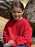 ComfortBlend Youth Sweatshirt