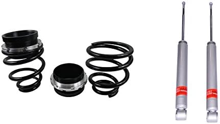 Rear Hi-Lo Spring Coilover Kit w/ Shocks 2012+ Civic