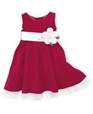 Sweet Heart Rose Little Girl Velvet Dress