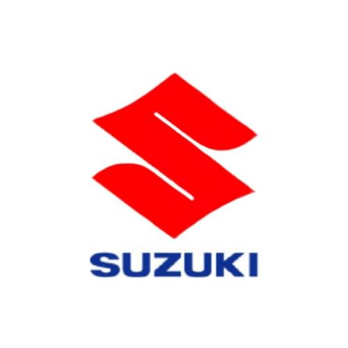 1995 guide investing poors sector standard