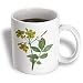 Flowers Carolina Jasmine - 11oz Mug