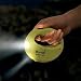 Award-Winning Dual Beam Oval Flashlight