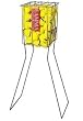 Gamma Ballhopper Hi-Rise 75, Silver