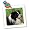 Border Collie - 10x10 Quilt Square