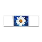 42 x 14 Wall Vinyl Sticker Daisy Energy Blue