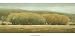 Billow - Shanna Kunz Art Print Poster 39.25 x