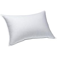 Arctica Down King Pillow