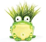 Adorable Toby The Frog/Toad Planter/Vase For Home Decor