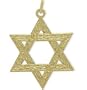 14 Karat Yellow Gold Small Star of David Pendant