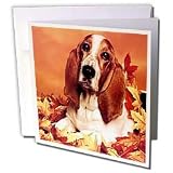 Dogs Basset Hound - Basset Hound - Greeting Cards-6 Greeting Cards with envelopes
